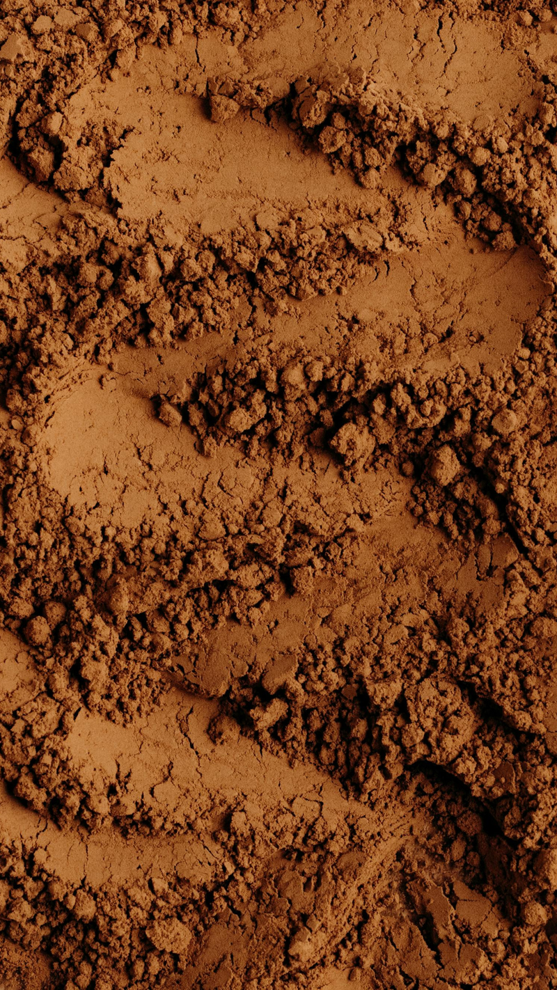 Cocoa Powder