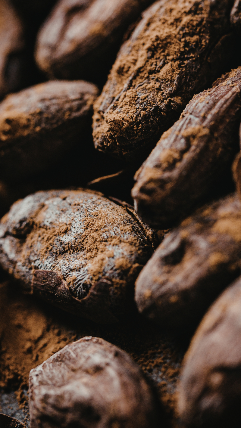 Cocoa Mass